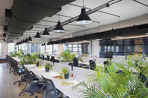 Thiết kế văn phòng làm việc với không gian xanh độc đáo, hiện đại | Nhà To